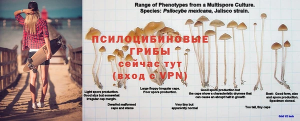 винт Гусиноозёрск