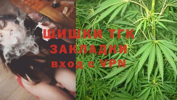 винт Гусиноозёрск